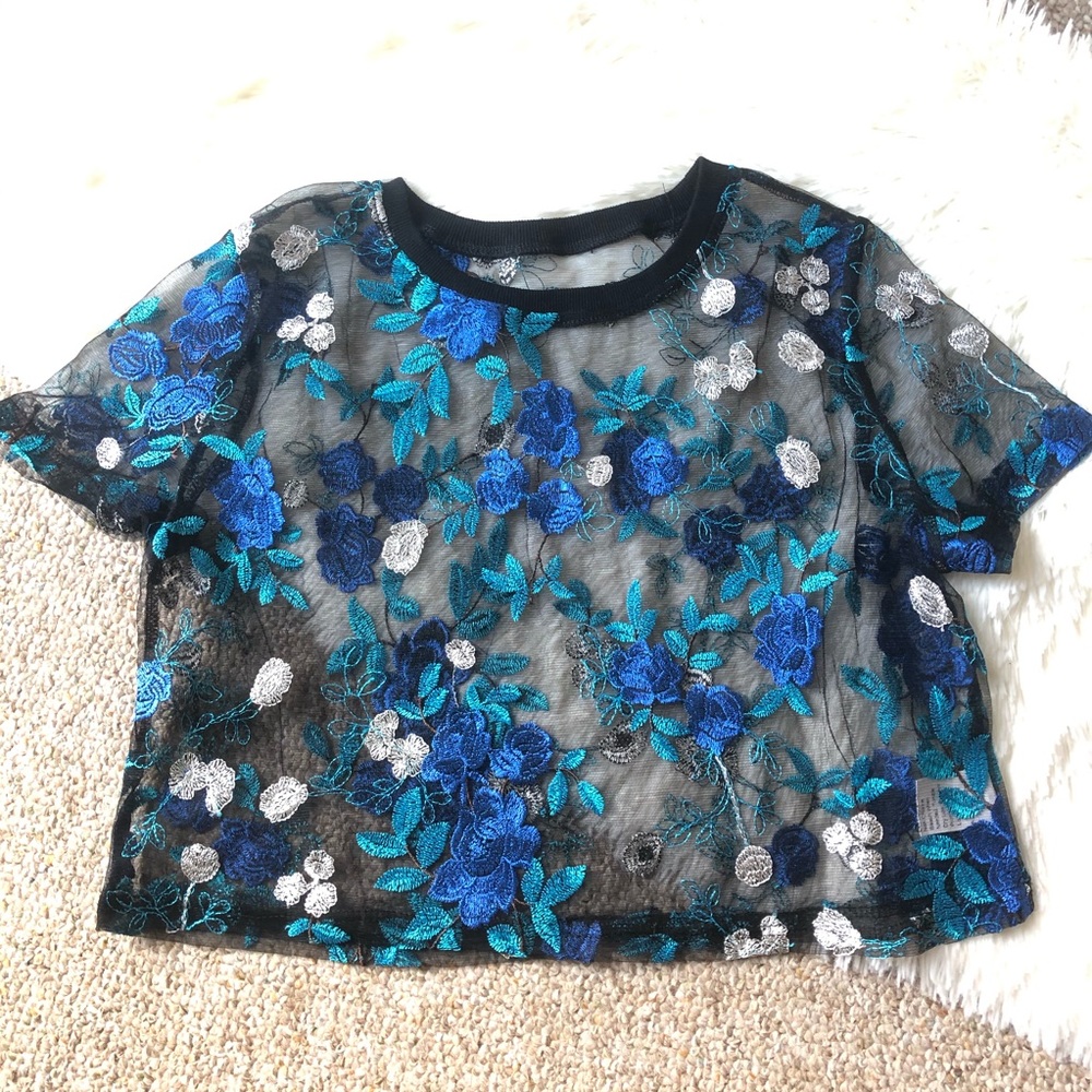 Sheer embroidered Top